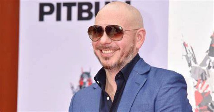Pitbull Net Worth From Street Swagger To
