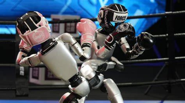 Secrets Of A Fighting Phenomenon