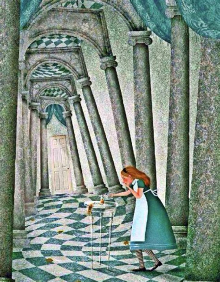 The Quest To Solve The Mystery Of Alice Jenkins