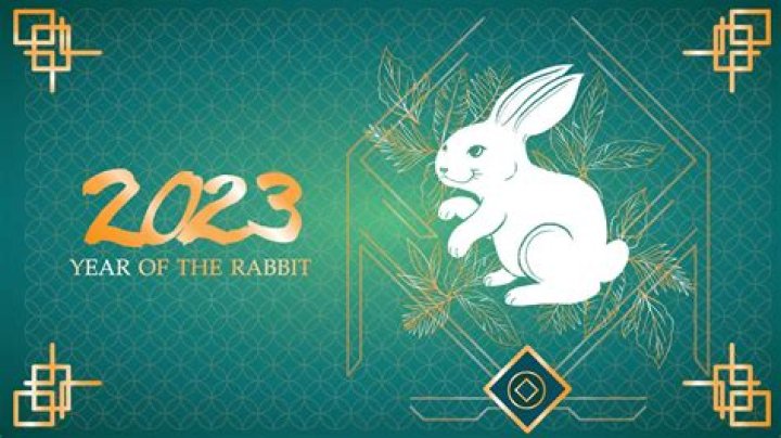The Year of the Rabbit