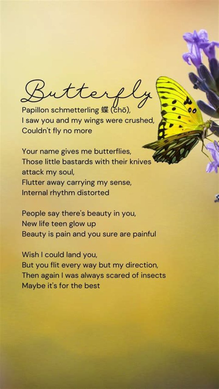 Unveiling The Enchanting World Of Simple Short Butterfly Poems: Discoveries And Insights
