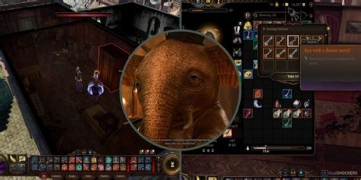 Where To Use Strange Flower Key